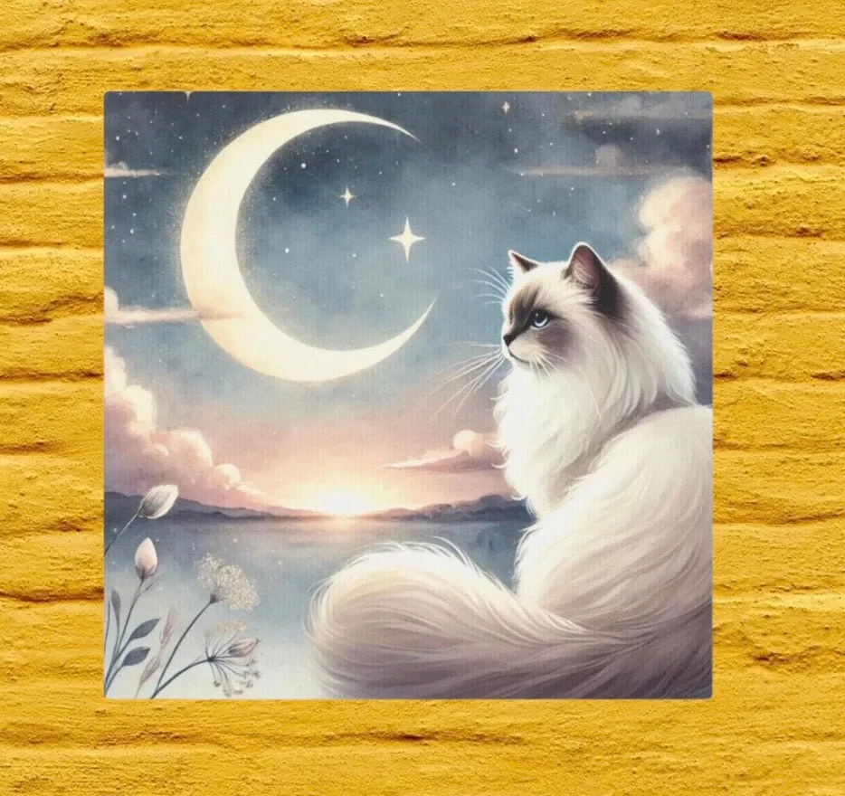 Celestial Moon - Cat Lover Ragdoll - Wall Art Decor 8x8