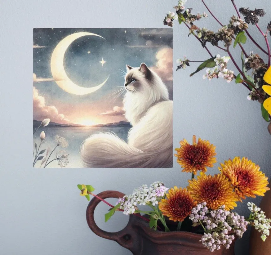 Celestial Moon - Cat Lover Ragdoll - Wall Art Decor 8x8