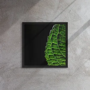 Green Leaf Framed Canvas Print
