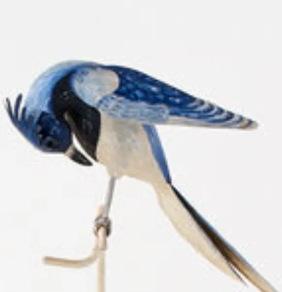 Long Tailed Bird on Stand, 5 Styles