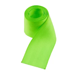 Seat Belt Webbing By-The-Yard - Lemon Lime