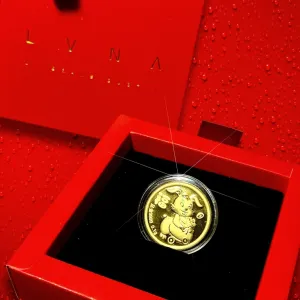 THE VAULT | 24K Pure Gold Coin (999.9au) Lucky Amulet