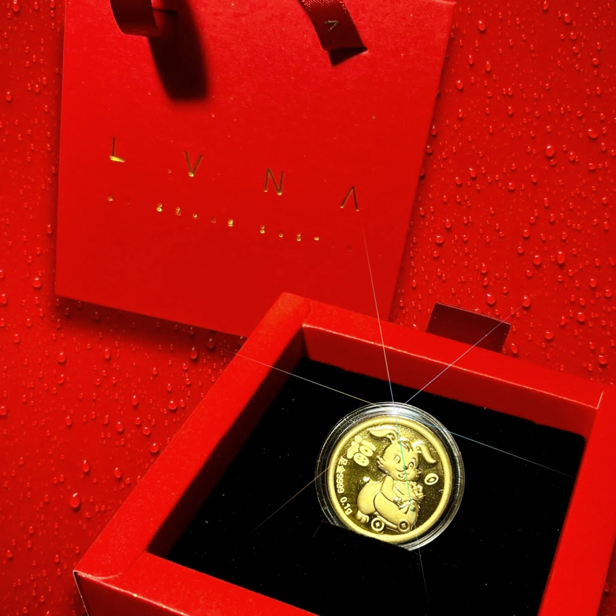 THE VAULT | 24K Pure Gold Coin (999.9au) Lucky Amulet