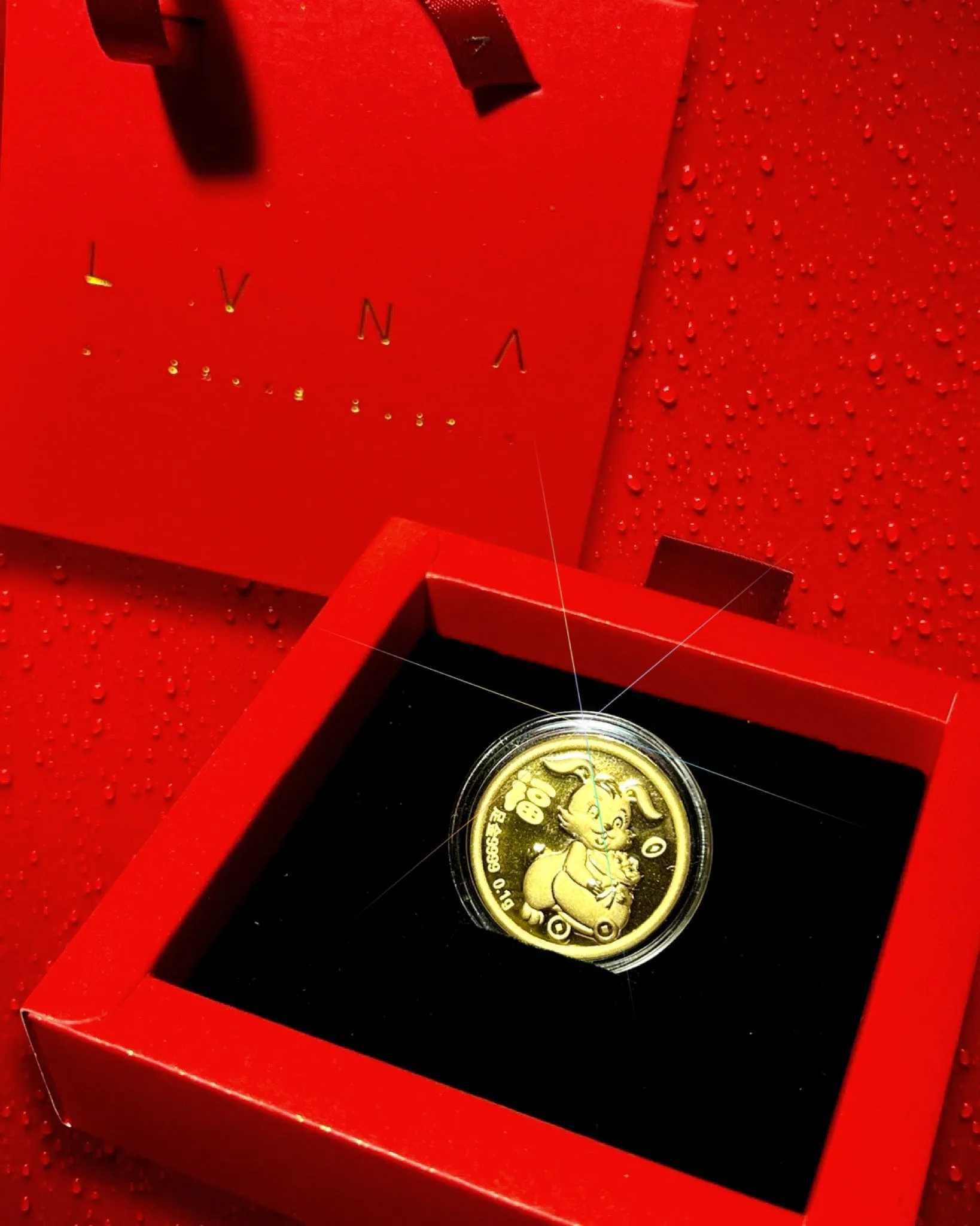 THE VAULT | 24K Pure Gold Coin (999.9au) Lucky Amulet